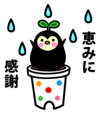 Species of balloon vine sticker #550104