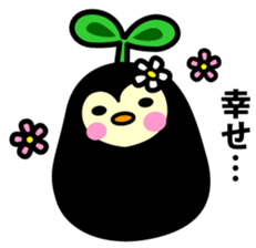 Species of balloon vine sticker #550105