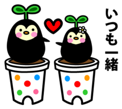 Species of balloon vine sticker #550106