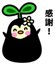 Species of balloon vine sticker #550107