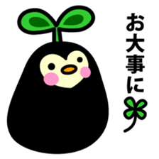 Species of balloon vine sticker #550108