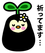 Species of balloon vine sticker #550109