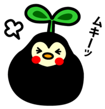 Species of balloon vine sticker #550110