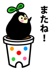 Species of balloon vine sticker #550112