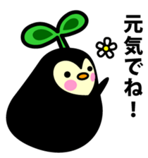 Species of balloon vine sticker #550113