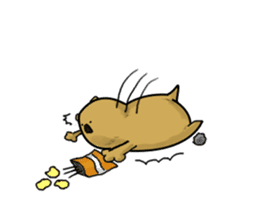 Greedy wombat sticker #551451