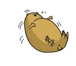 Greedy wombat sticker #551462