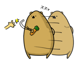 Greedy wombat sticker #551464