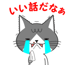 Cat sticker sticker #552319