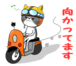 Cat sticker sticker #552336