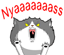 Cat sticker sticker #552352