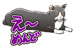 Grumble Cats sticker #553914