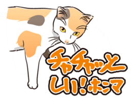 Grumble Cats sticker #553922