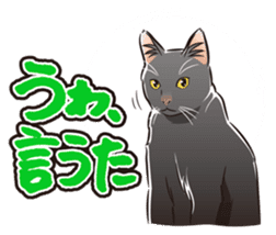 Grumble Cats sticker #553938