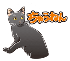 Grumble Cats sticker #553941