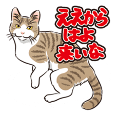 Grumble Cats sticker #553944