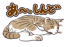 Grumble Cats sticker #553945