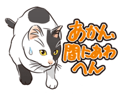 Grumble Cats sticker #553949