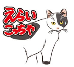 Grumble Cats sticker #553953