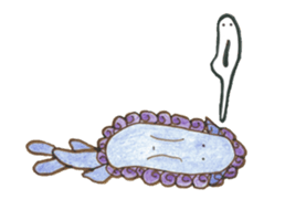 Mr. Okinawan lion dog & Mr. bitter gourd sticker #554103