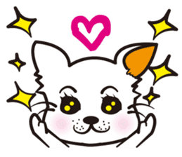 Cute Chihuahua! sticker #554194