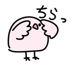 Plumply bird sticker #554880