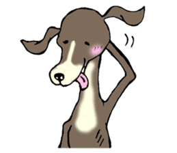 The Italian Greyhound festival! sticker #557556