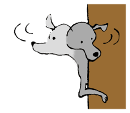 The Italian Greyhound festival! sticker #557557