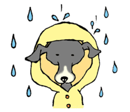 The Italian Greyhound festival! sticker #557559