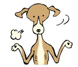 The Italian Greyhound festival! sticker #557565