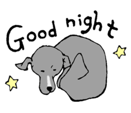 The Italian Greyhound festival! sticker #557568