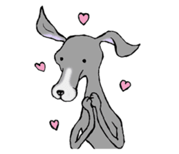 The Italian Greyhound festival! sticker #557572