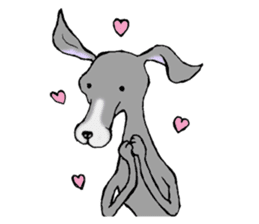 The Italian Greyhound festival! sticker #557572