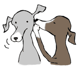 The Italian Greyhound festival! sticker #557573