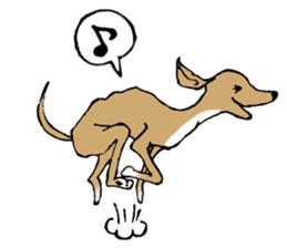 The Italian Greyhound festival! sticker #557574
