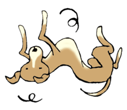 The Italian Greyhound festival! sticker #557576