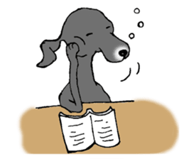 The Italian Greyhound festival! sticker #557577