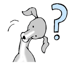 The Italian Greyhound festival! sticker #557587