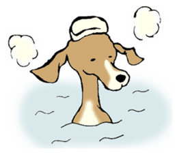 The Italian Greyhound festival! sticker #557588