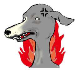 The Italian Greyhound festival! sticker #557592