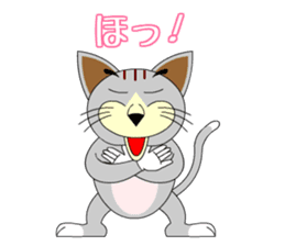 wild cat "Tashan" sticker #557915