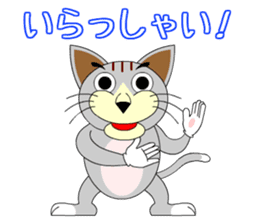 wild cat "Tashan" sticker #557925