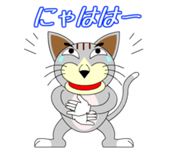wild cat "Tashan" sticker #557931