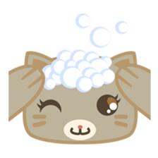 Bobo, the cute brown cat sticker #558925