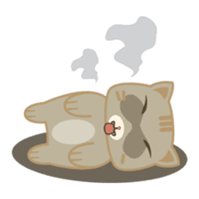 Bobo, the cute brown cat sticker #558929