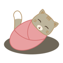 Bobo, the cute brown cat sticker #558942