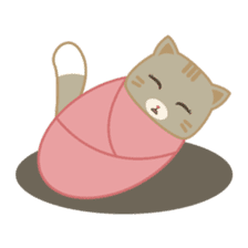 Bobo, the cute brown cat sticker #558942