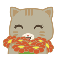 Bobo, the cute brown cat sticker #558952