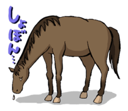Horse Sticker sticker #561014