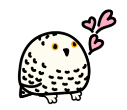 Snowy Owl and Barn Owl sticker #561594